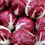 Lettuce Radicchio