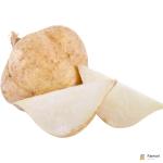 Mexican Turnip | Jicama