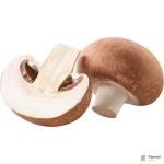 Mushrooms