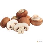 Mushrooms