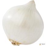 Onion White