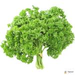 Parsley English