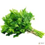 Parsley