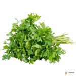 Parsley