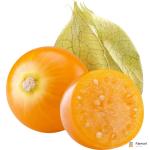 Physalis Gooseberries
