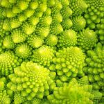 Romanesco