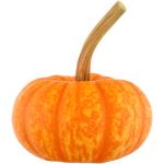 Sparkler Pumpkin Halloween