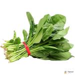 Spinach