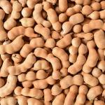 Sweet Tamarind