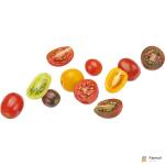 Tomato Cherry Mix Shaker