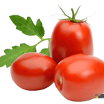 Tomato Plum Roma Holland