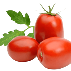 Tomato Plum Roma Holland