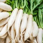 White Radish (Daikon Radish)