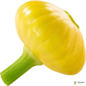 Yellow Patty Pan