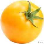 Yellow Tomato