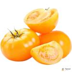 Yellow Tomato