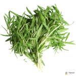 Zaatar