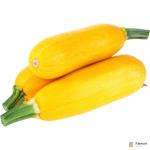 Zucchini Yellow