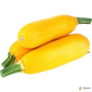 Zucchini Yellow